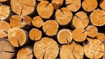 Best Types of Wood For Smoking Your Meat