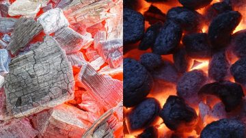 Lump Charcoal VS Briquettes