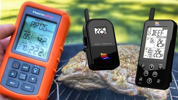 ThermoPro vs Maverick Thermometer