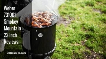 Weber 731001 Smokey Mountain 22-Inch Reviews