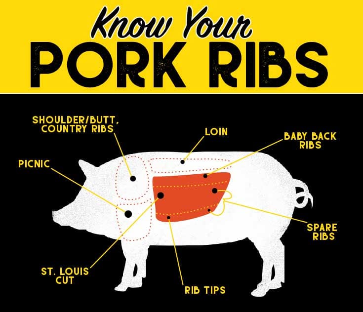 pork-ribs-anatomy